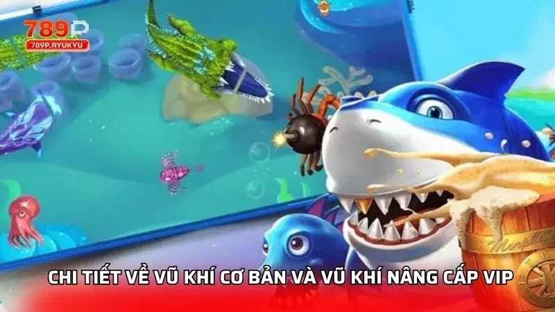 Phân tích chi tiết để thấy được sự khác biệt và rủi ro tiềm ẩn